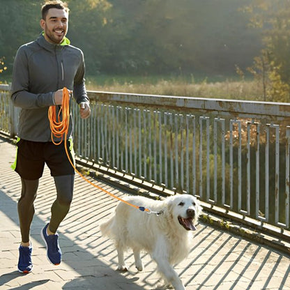 longe-pour-chien-mouk-blanc-orange-chien