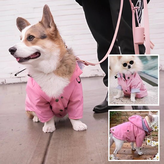 manteau-chien-dogcoat-manteau-rose-assis-chien