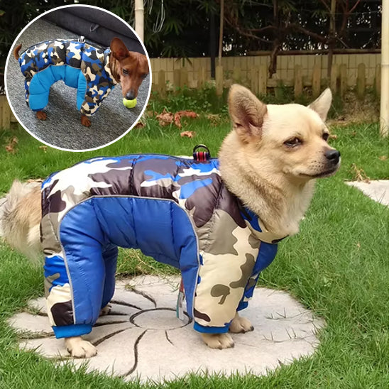 manteau-chien-dogjac-bleu-royal_-camouflage