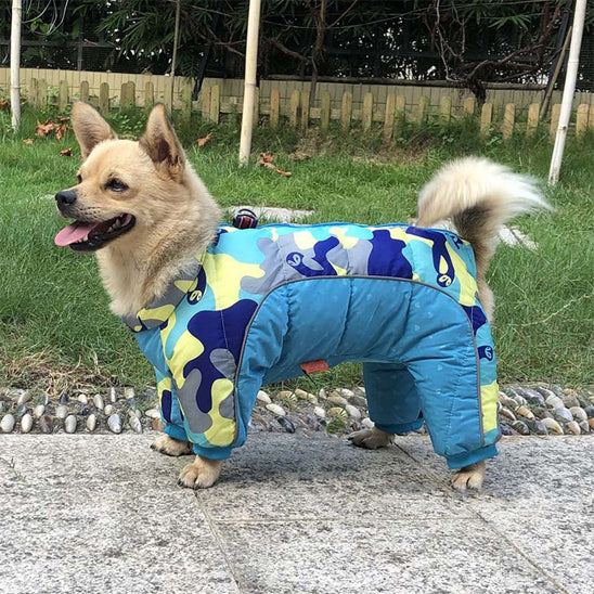 manteau-chien-dogjac-brun-bleu-ciel-camouflage