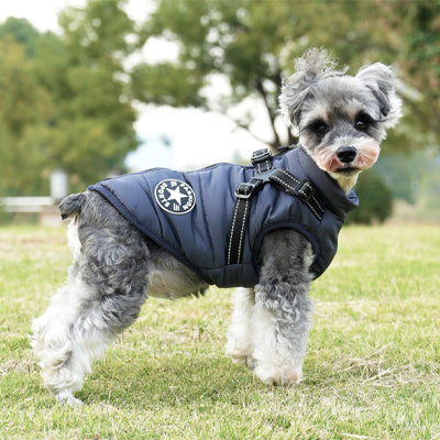 Manteau chien imperhiver bleu marin chien