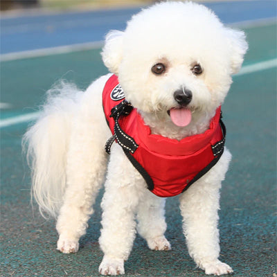 Manteau chien imperhiver debout rouge chien