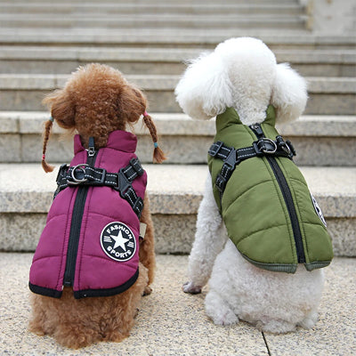 Manteau chien imperhiver vert violet chien