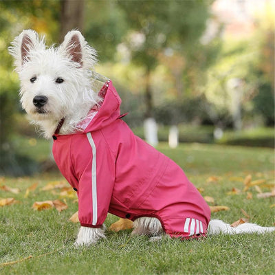 Manteau pour chien ajustable rouge assis chien