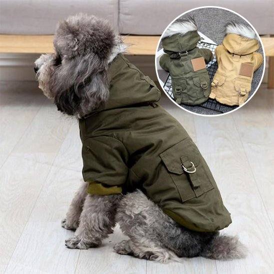 manteau-pour-chien-doggy-chien-vert-gris