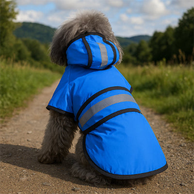 Manteau pour chien final bleu assis chien