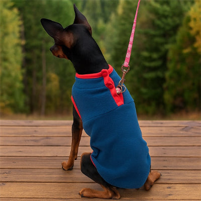 Manteau pour chien ImpCon bleu, noir assis chien