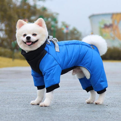 Manteau pour chien, jacket chien bleu, blanc