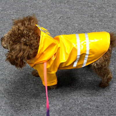 Manteau pour chien Premi jaune, brun chien