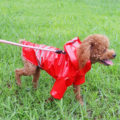 Manteau pour chien Premi rouge, brun chien