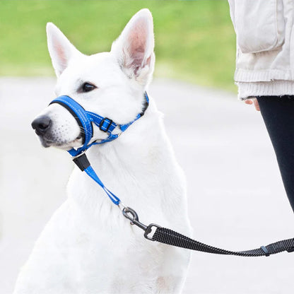 museliere-cancan-assis-blanc-bleu-chien