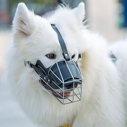 museliere-canfor-blanc-noir-debout-chien