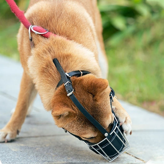 museliere-canfor-debout-brun-noir-chien