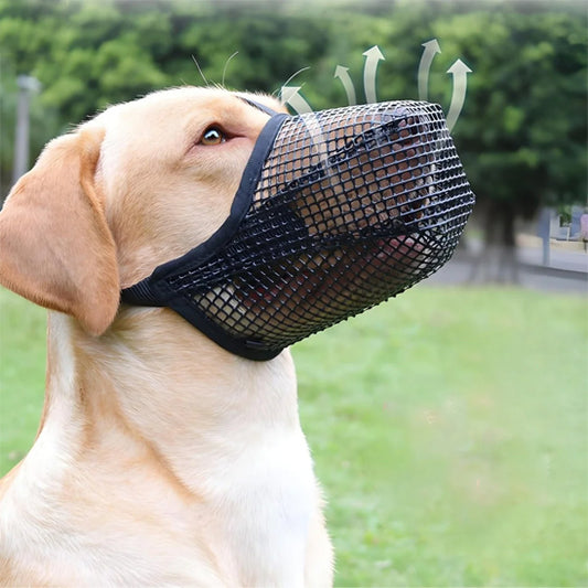 museliere-canyour-blanc-noir-assis-chien