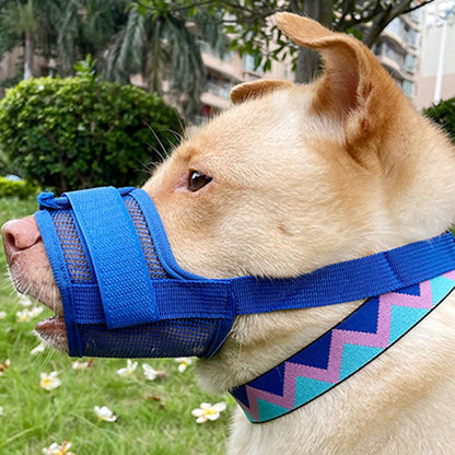 museliere-pour-chien-muznine-bleu-assis-chien
