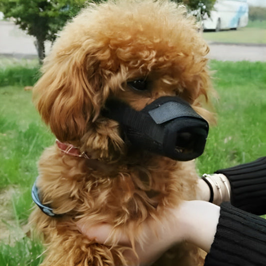 museliere-pour-chien-muznine-noir-brun-assis-chien