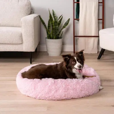 zippy-optimized:cmpvhhfgc0hr8ku2v4n5ebk1e