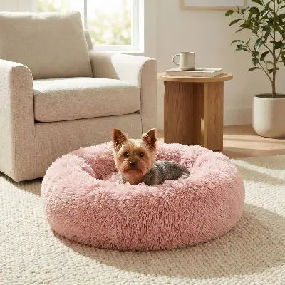 zippy-optimized:cmpvhg9q60fgeku2v3ickid2d