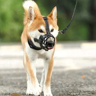 zippy-optimized:cmpvhgusz0gm4ku2vtwnqbp0c
