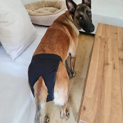 zippy-optimized:cmpvhglw60g54ku2vajzoayxr