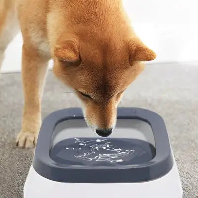 zippy-optimized:cmpvhgiof0fy2ku2v0rdurstj