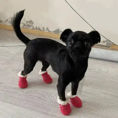 zippy-optimized:cmpvhgkpi0g2iku2vhn6prry7