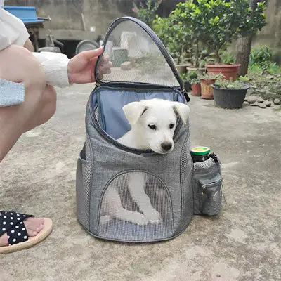 zippy-optimized:cmpvhgz260gv0ku2vegfirrqr