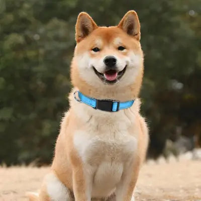 zippy-optimized:cmpvhgcrl0fmuku2vyzm7npx1