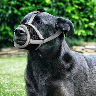 zippy-optimized:cmpvhguwq0gmcku2vagrxeqqa