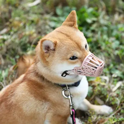zippy-optimized:cmpvhgvlc0gnsku2vh0atdfnu