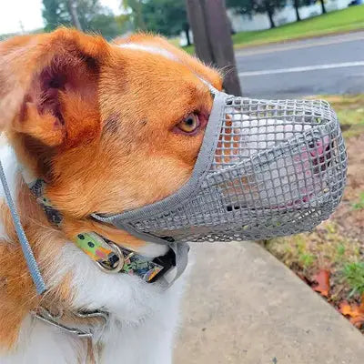 zippy-optimized:cmpvhgvds0gncku2vnv3193ox