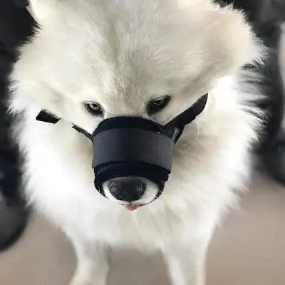 zippy-optimized:cmpvhgva10gn4ku2v7wsafq76