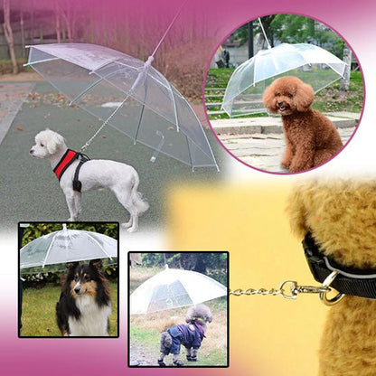 parapluie-chien-snowdog-avec-quatre-parapluies