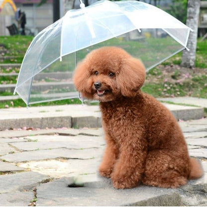 parapluie-chien-snowdog-avec-un-chien-brun