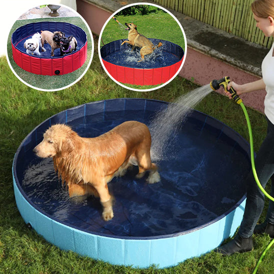 piscine-pour-chien-ce-fait-arroser-par-son-maitre