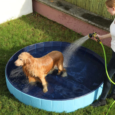 Piscine pour chien qui se fait arroser chien