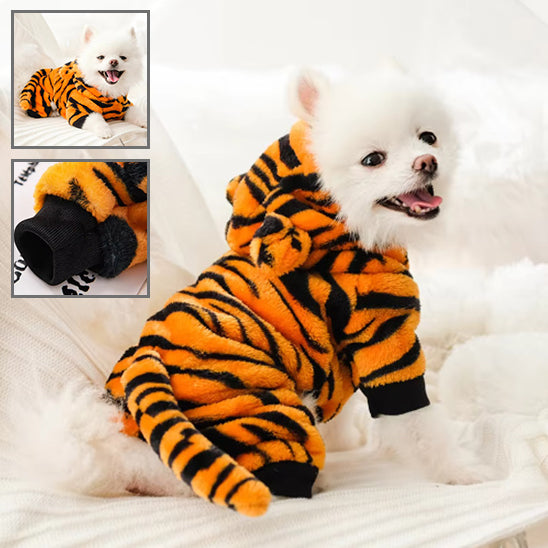 pull-chien-dogjum-Tiger