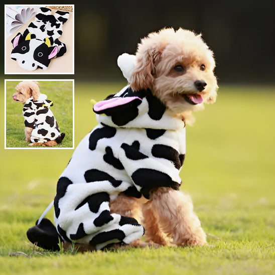 pull-chien-dogjum-vache