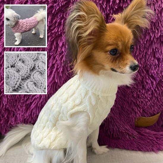 pull-chien-perdog-chien-blanc