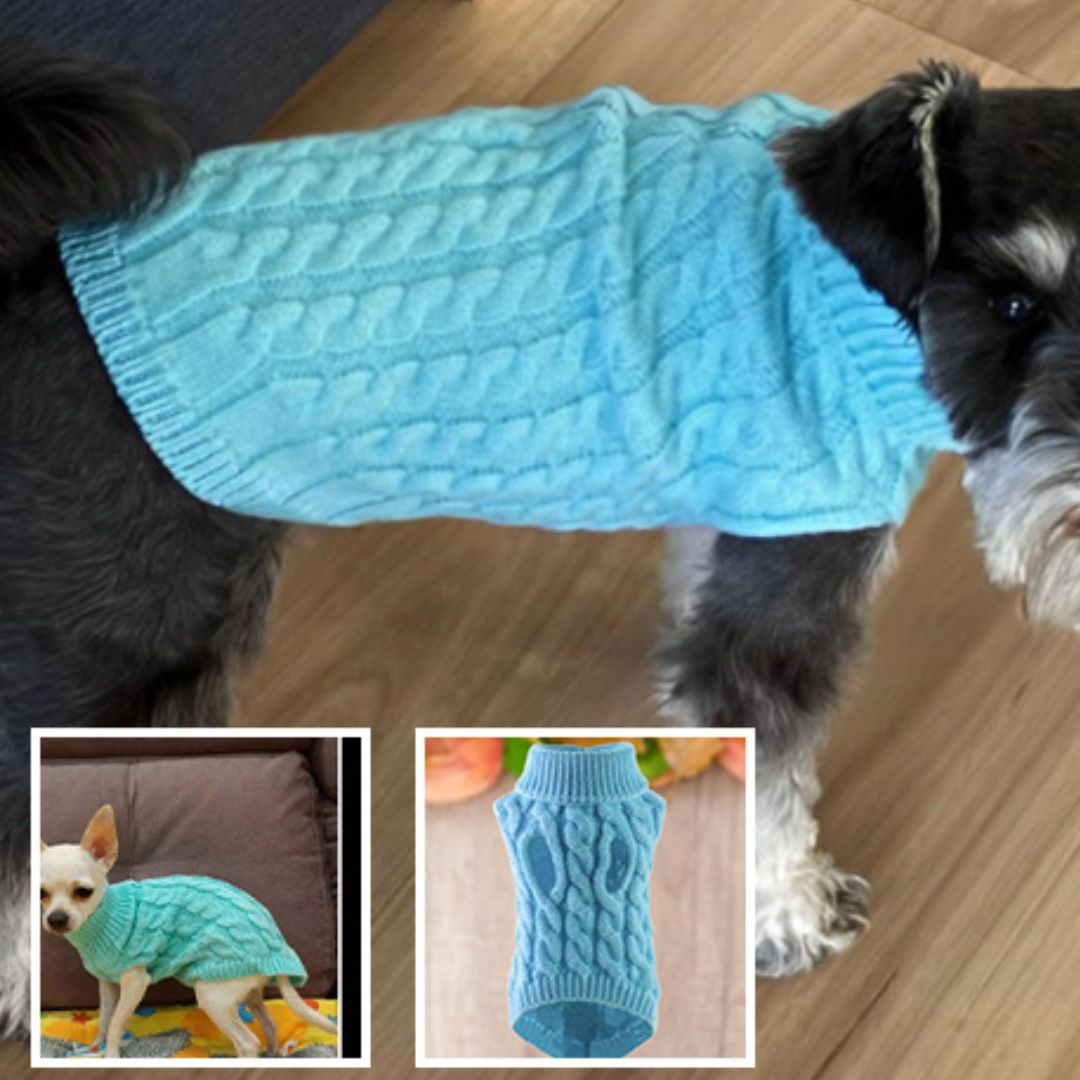 pull-chien-perdog-chien-bleu