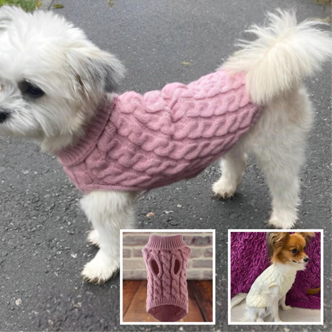 pull-chien-perdog-chien-rose-blanc