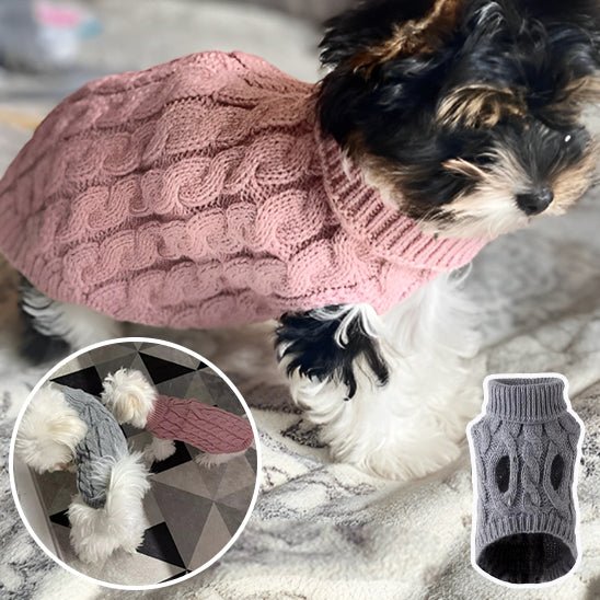 pull-chien-perdog-chien-rose