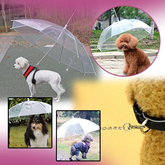 SnowDog™ - Parapluie pour votre chien. - Chien trop content