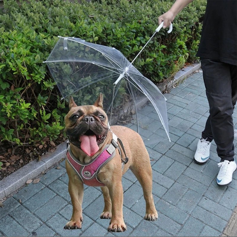 SnowDog™ - Parapluie pour votre chien. - Chien trop content