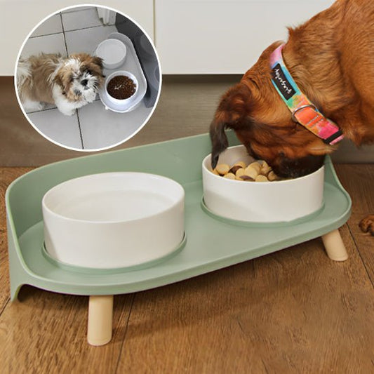 support-gamelle-chien-bowlstand-manger-brun-chien