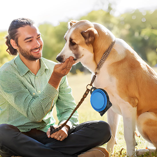 support-gamelle-chien-caresse