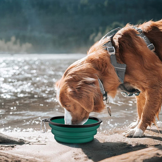 support-gamelle-chien-vert-brun