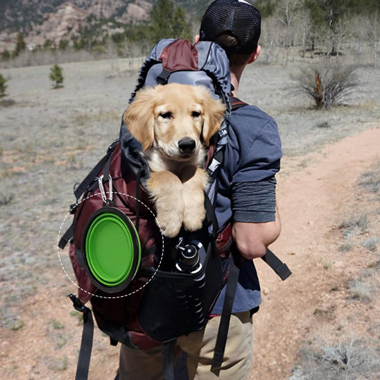 support-gamelle-chien-vert-sac-a-dos
