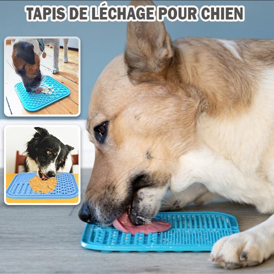 tapis-de-fouille-chien-dogdig-bleu-brun-chien
