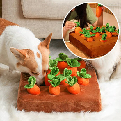 tapis-de-fouille-chien-dogdigging-attrape-carottes-blanc-brun